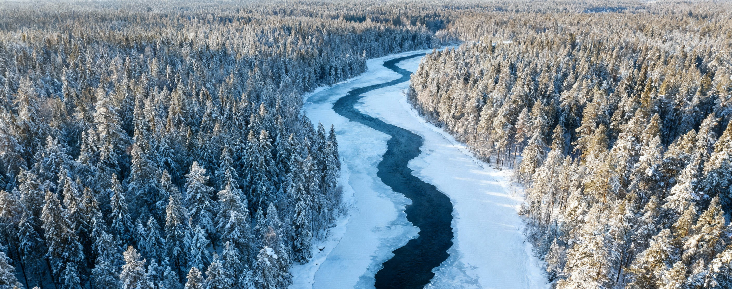 Aerial view over Finnish boreal forest, snow-laden pines and a frozen river