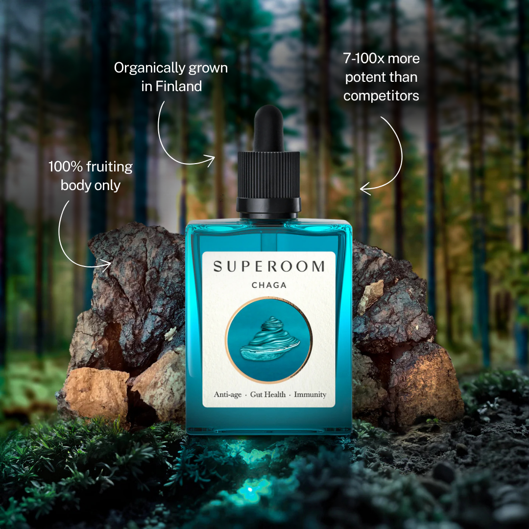 Superoom Chaga — organically grown in Finland, 7-100x more potent