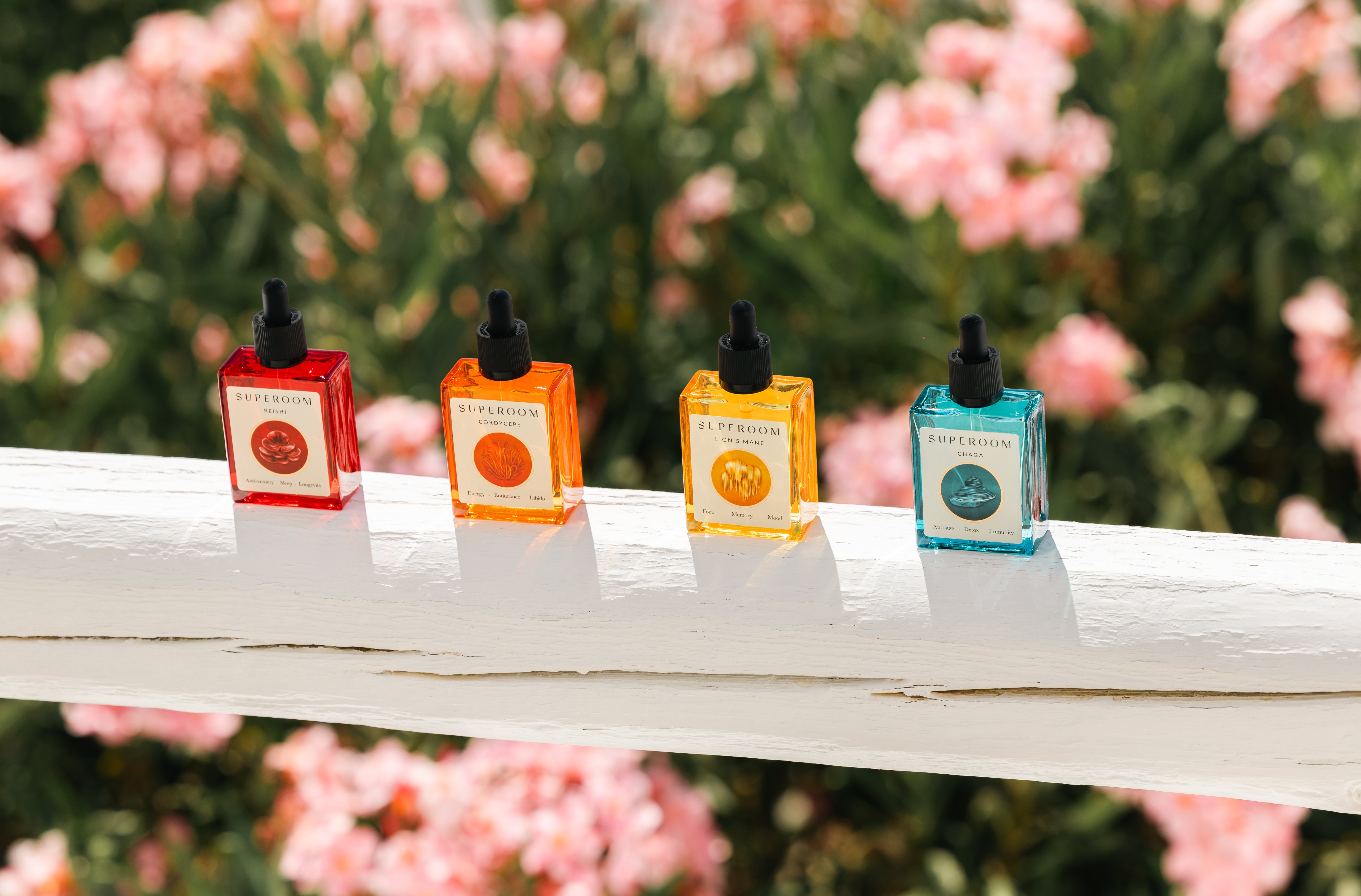 The Wild Life Collection Boxset