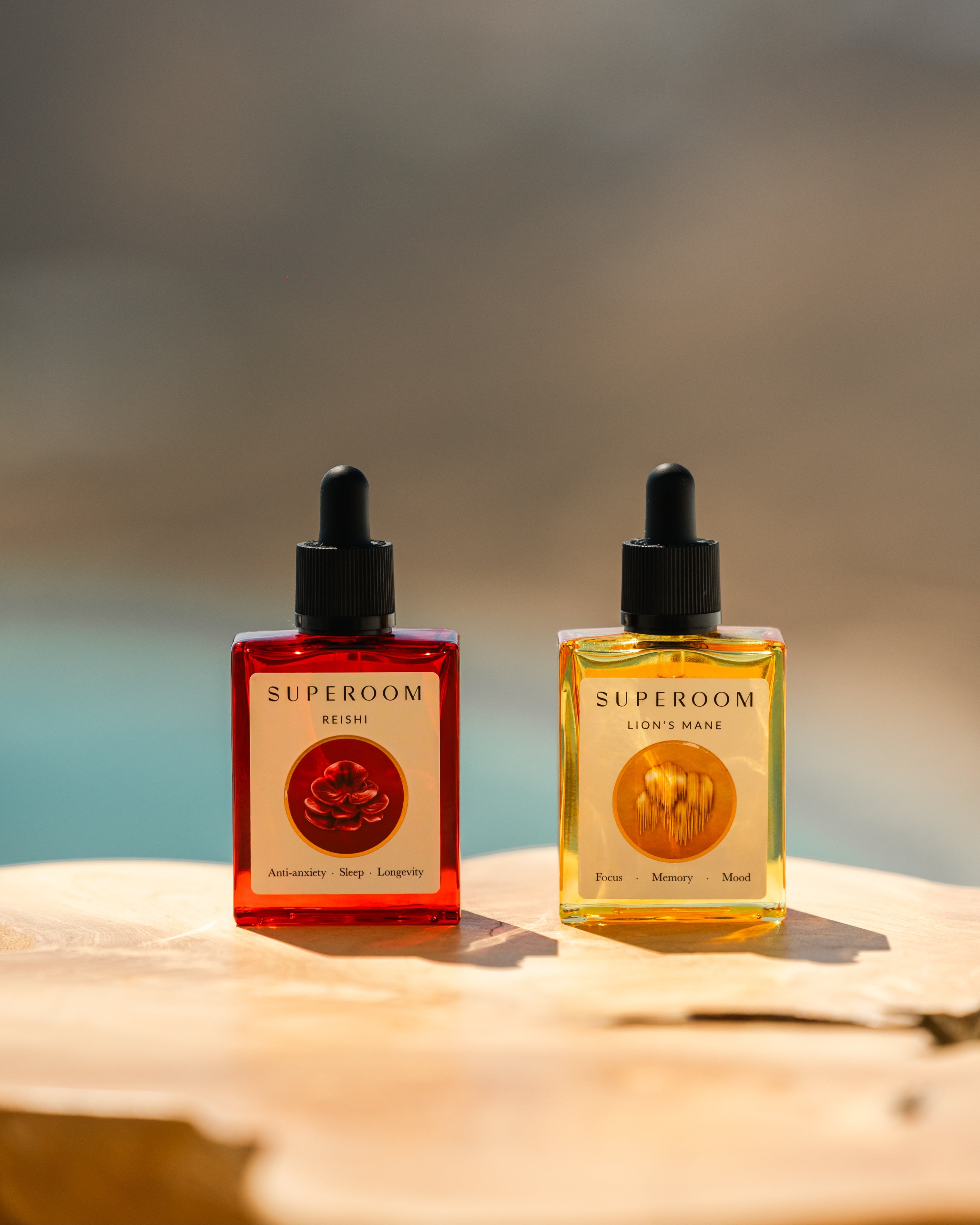 The Professional Powerhouse - Lion’s Mane & Reishi