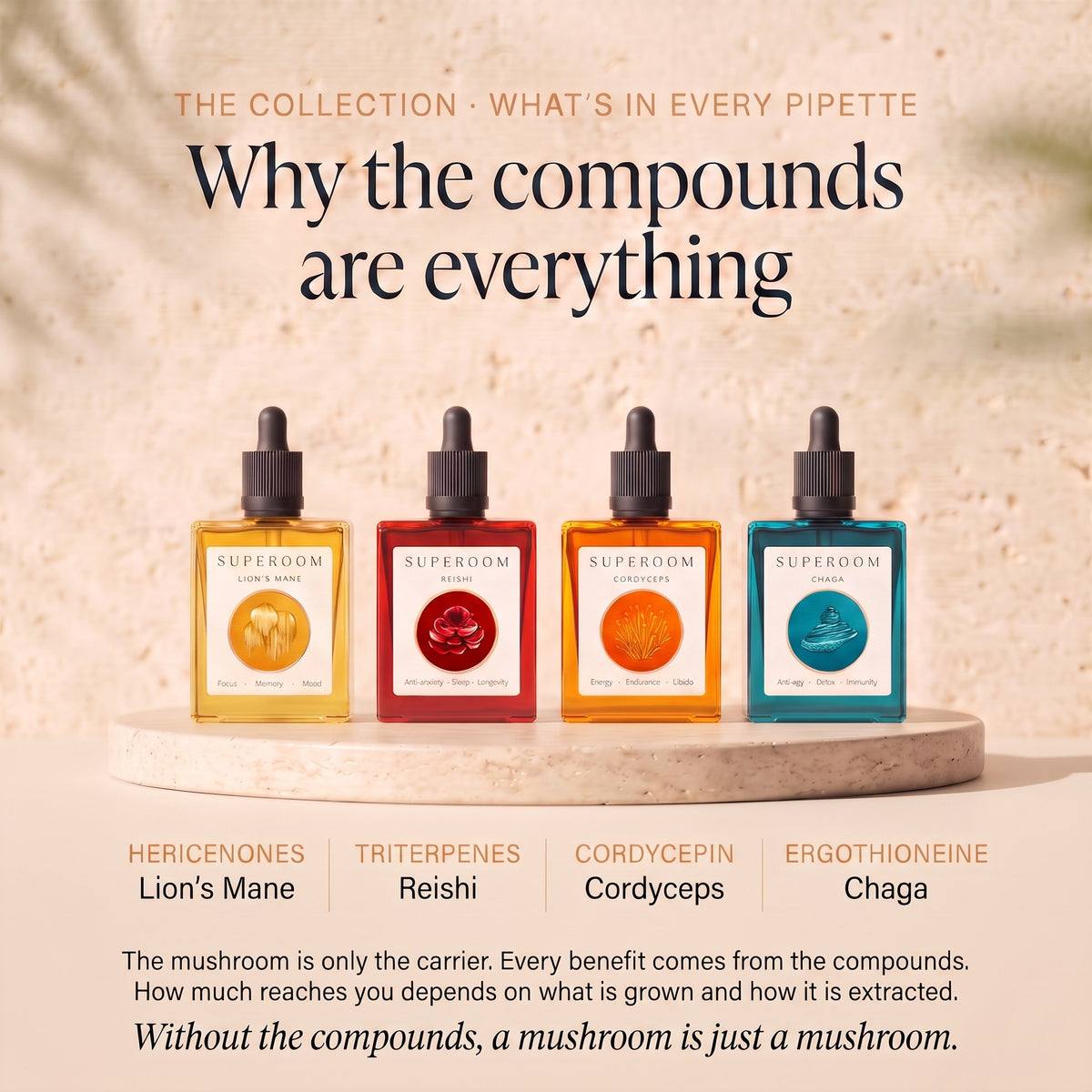 The Collection: Why the compounds are everything