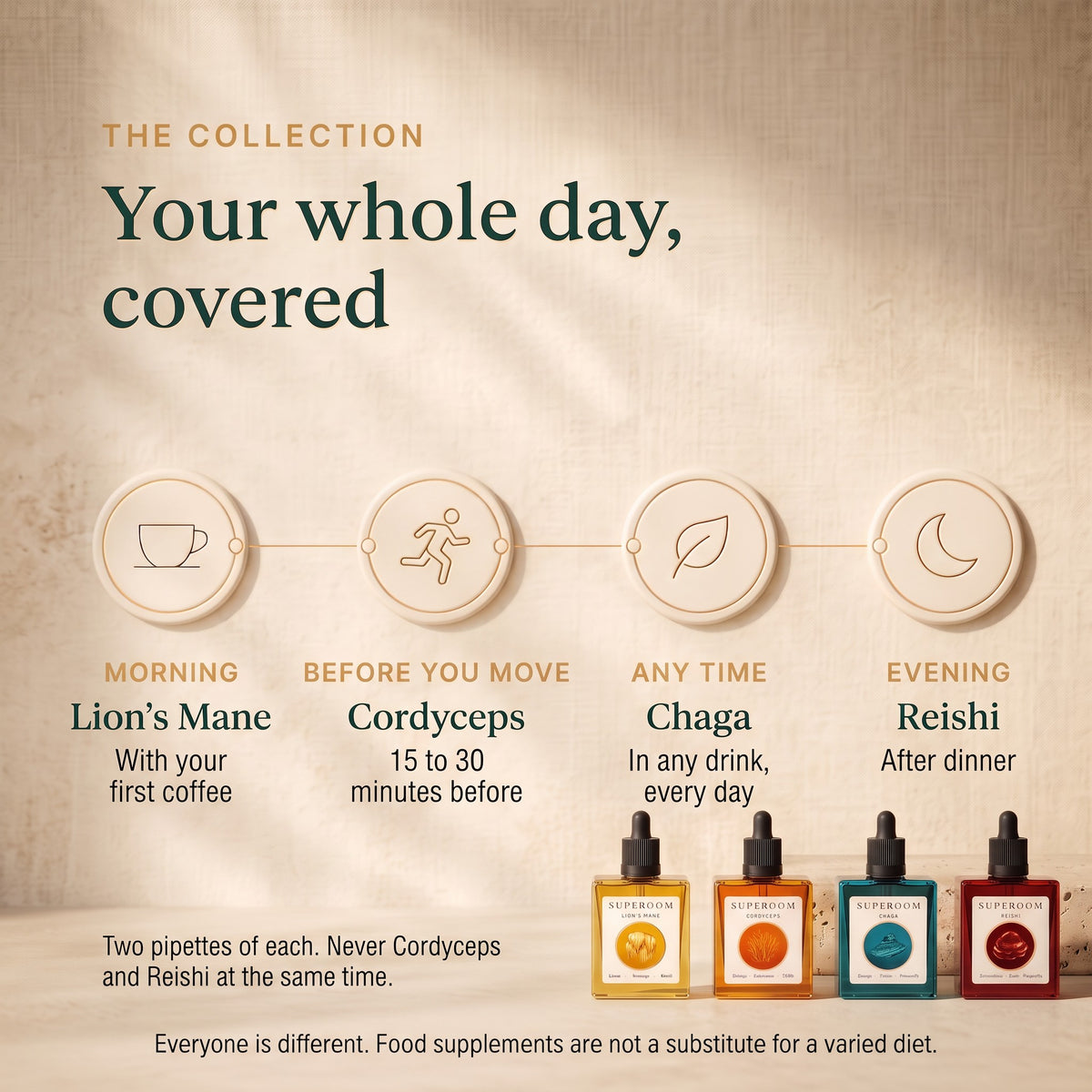 The Collection: Your whole day, covered