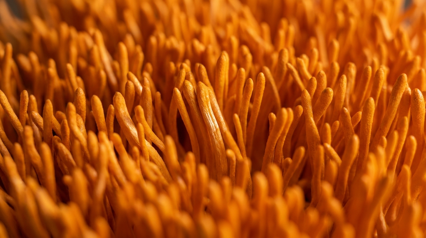 Cordyceps mushroom texture