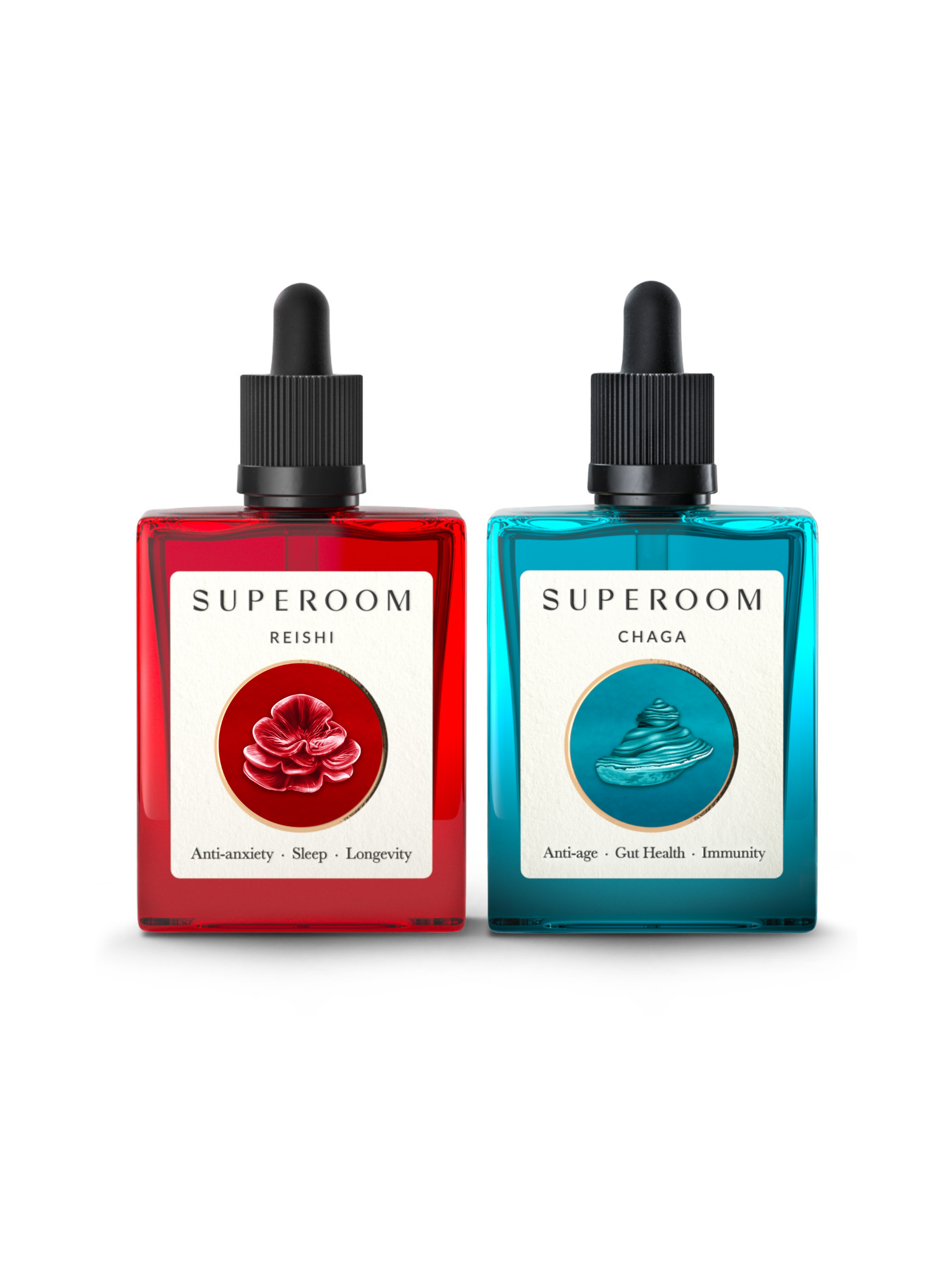 The Rebuilder - Reishi & Chaga