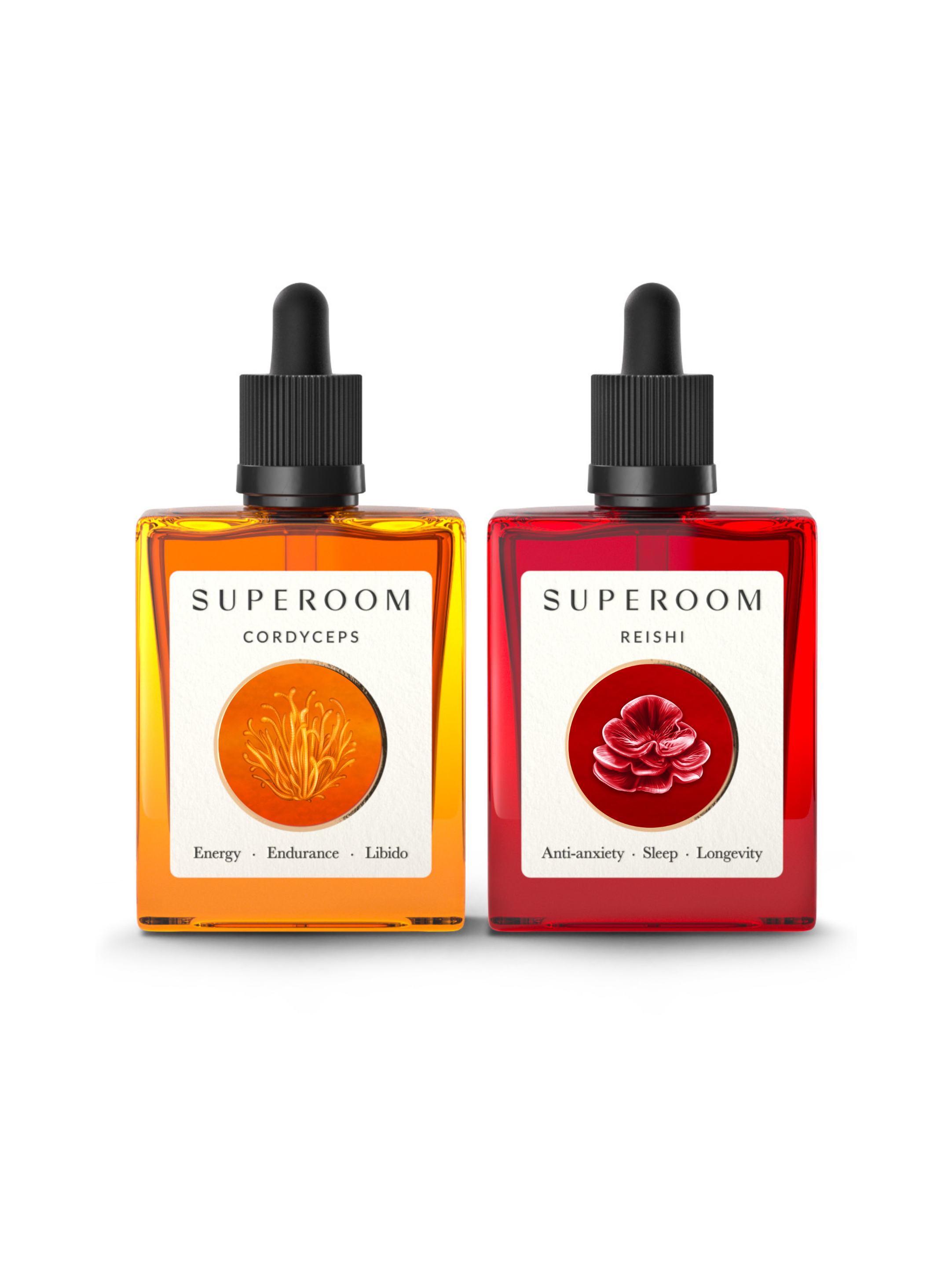 The Olympian - Cordyceps & Reishi