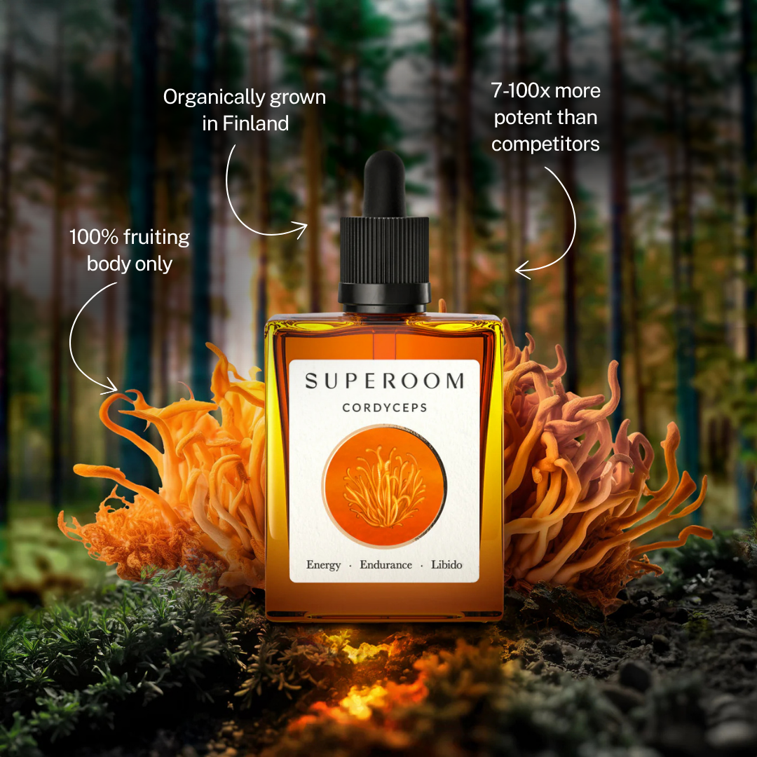 Superoom Cordyceps — organically grown in Finland, 7-100x more potent