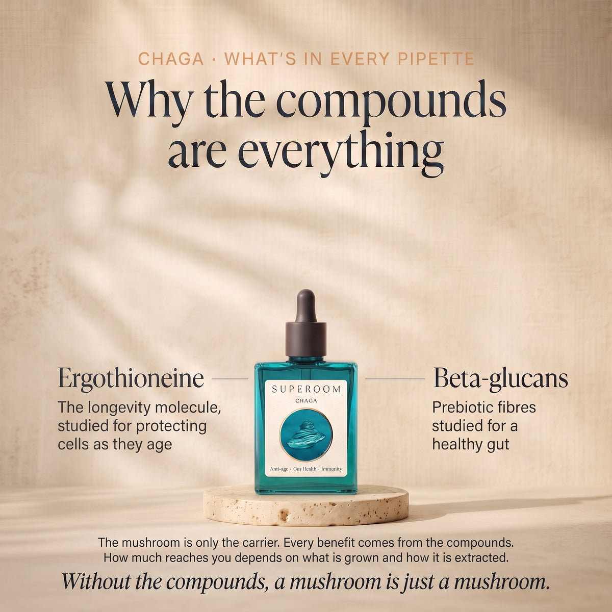 Chaga: Why the compounds are everything