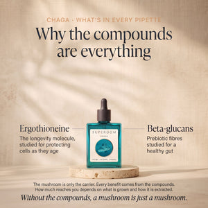 Chaga: Why the compounds are everything