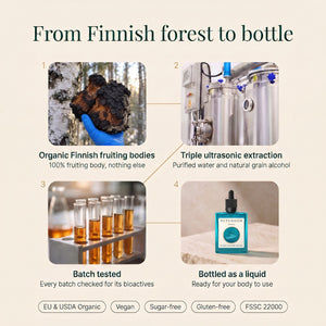 Chaga: From Finnish forest to bottle