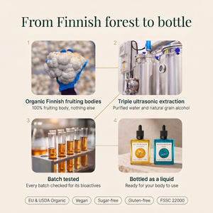Clarity & Glow: From Finnish forest to bottle