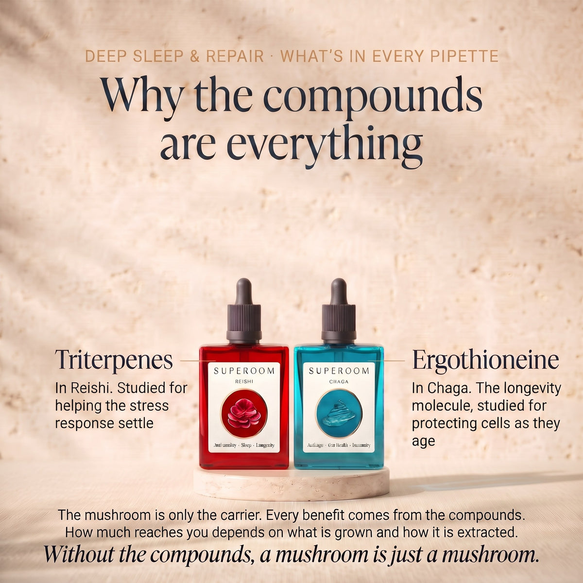 Deep Sleep & Repair: Why the compounds are everything