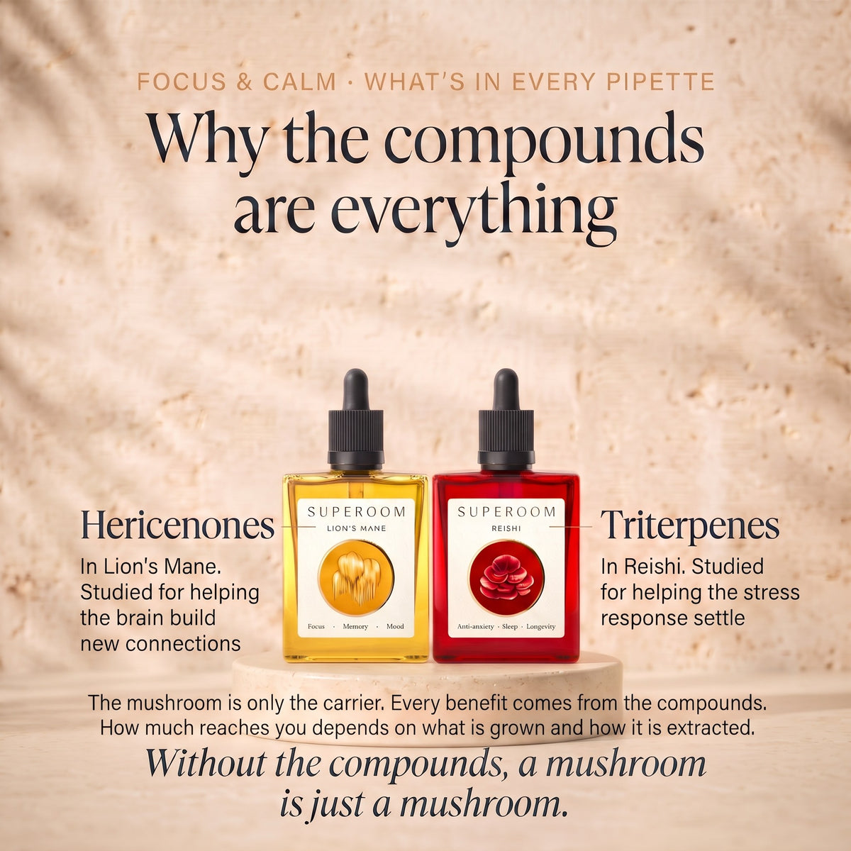 Focus & Calm: Why the compounds are everything