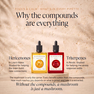 Focus & Calm: Why the compounds are everything