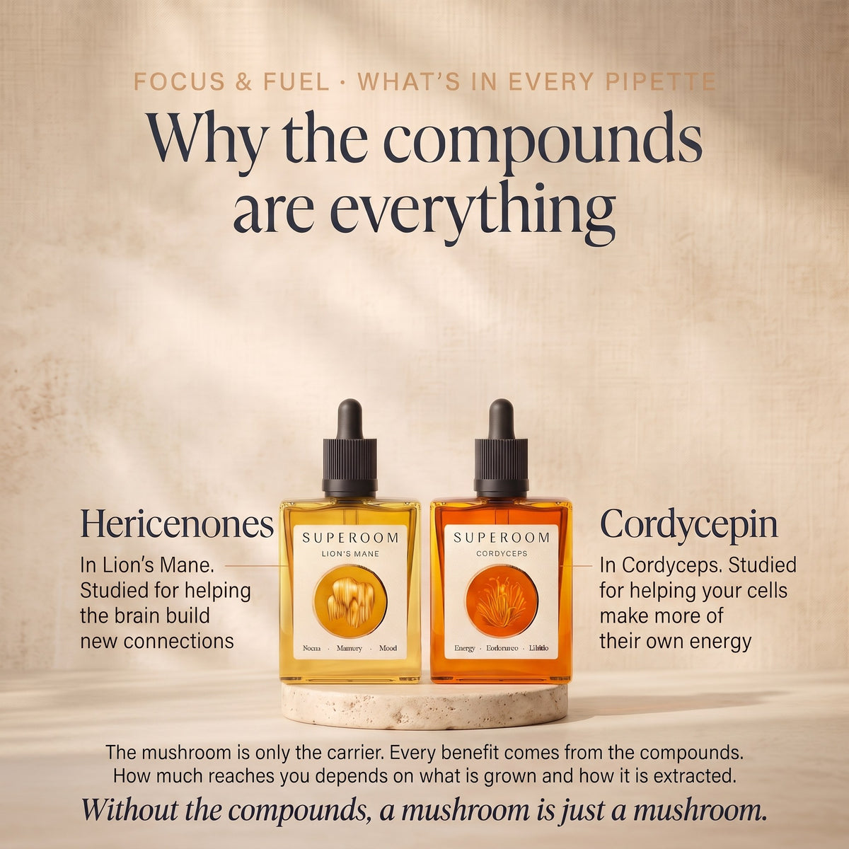 Focus & Fuel: Why the compounds are everything