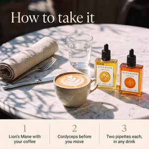 Focus & Fuel: How to take it