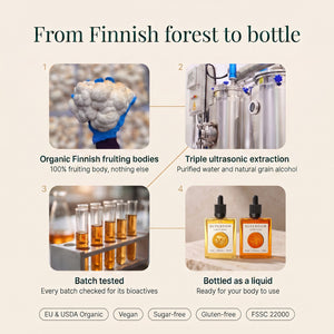 Focus & Fuel: From Finnish forest to bottle