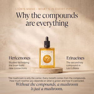 Lion's Mane: Why the compounds are everything