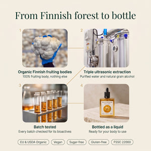 Lion's Mane: From Finnish forest to bottle