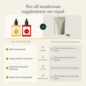 Focus & Calm: Not all mushroom supplements are equal