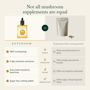 Lion's Mane: Not all mushroom supplements are equal