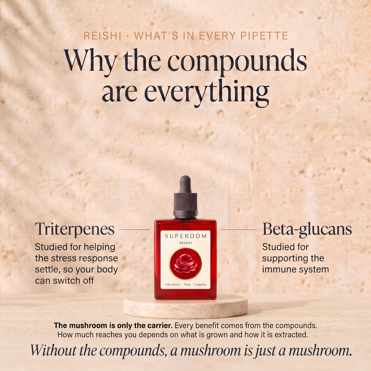 Reishi: Why the compounds are everything