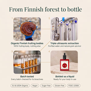 Reishi: From Finnish forest to bottle